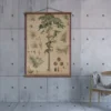 Scout Vintage Old-School Botanical Science Poster Featuring Pine