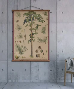 Scout Vintage Old-School Botanical Science Poster Featuring Pine