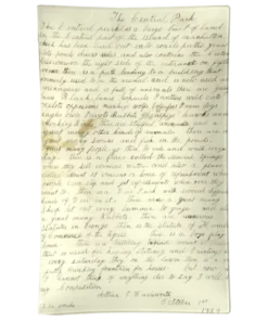 John Derian Central Park Essay Studio Tray Gifts