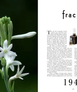 Scout House Perfume Legends II By Michael Edwards Gifts