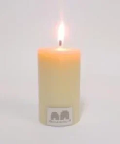 Scout Queen B 8cm Solid Beeswax Pillar Set Of 2