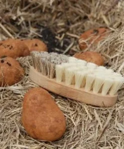 Scout Vegetable Cleaning Brush With English Script