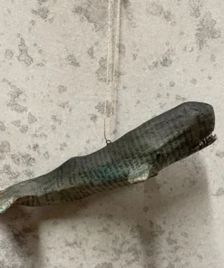 Scout Grey Whale Papier Mâché Hanging Decoration Gifts Under $50