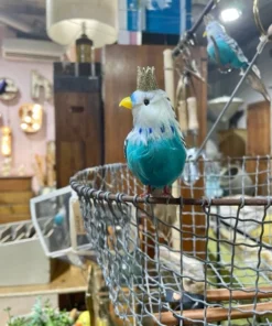 Scout Homewares Regal Feathered Budgie Decoration