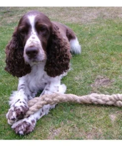 Chatham Rope Yard Dog Pull Rope Toy Made In Historic Chatham Boatyard