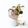 Scout House Beverly Pot - Pink Gifts