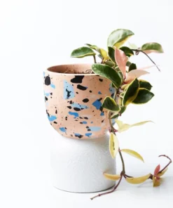 Scout House Beverly Pot - Pink Gifts
