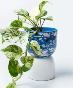 Scout House Gifts Beverly Pot - Blue