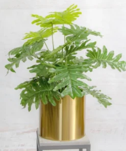 Scout House Brass Spun Planter - XL