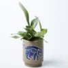 Scout House Wombat Planter Gifts