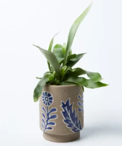 Scout House Wombat Planter Gifts