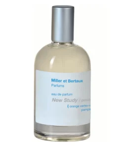 Gifts Miller Et Bertaux - New Study / Postcard