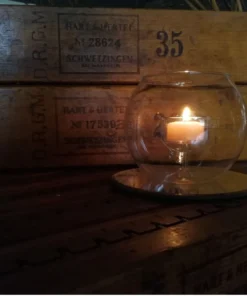 Scout Queen B 6 Hours Tealight Candles With Re-usable Clear Cups -Pack Of 5