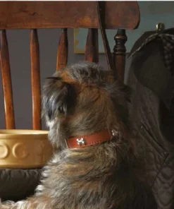 Gifts MEDIUM Dog Bowl Cornishware By Mason Cash