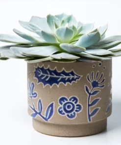 Scout House Homewares Koala Planter