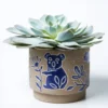 Scout House Homewares Koala Planter 1 Scout House Homewares Koala Planter