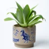 Scout House Kangaroo Planter Gifts