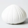 Scout Homewares Bone China Sea Urchin Lamp