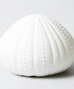 Scout Homewares Bone China Sea Urchin Lamp
