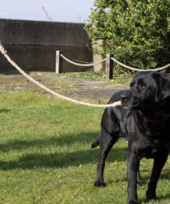 Chatham Rope Yard Dog Lead 14mm Rope Made In Historic Chatham Boatyard Pet
