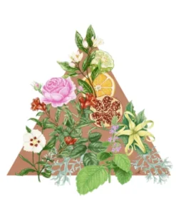 Gifts Santa Maria Novella - Melograno - 1221 Edition