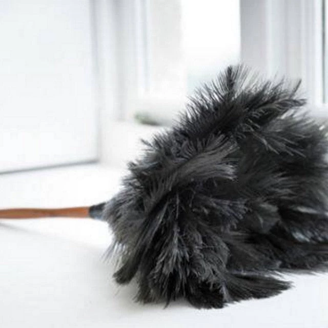 Redecker Homewares Ostrich Feather Duster 35cm 4 Redecker Homewares Ostrich Feather Duster 35cm