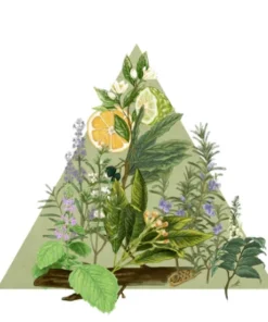 Santa Maria Novella - Pot Pourri - 1221 Edition Gifts