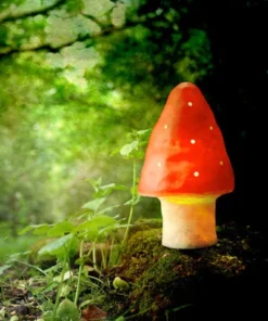 Homewares Toadstool Small Night Light By Heico